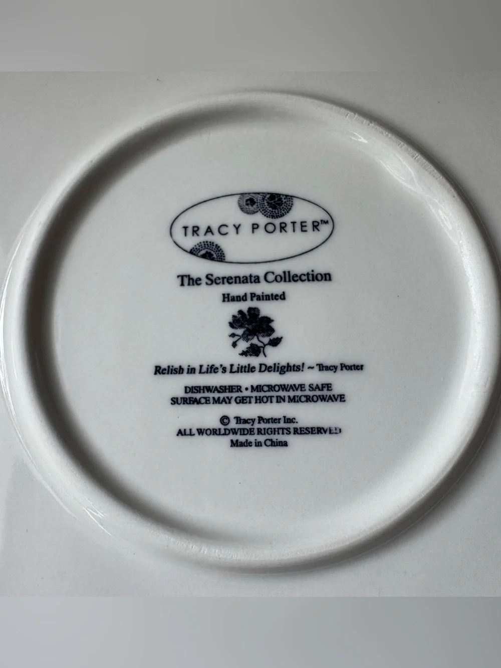 Tracy Porter Ceramic Plate from The Serenata Collection, Set of Two (#2)🦋